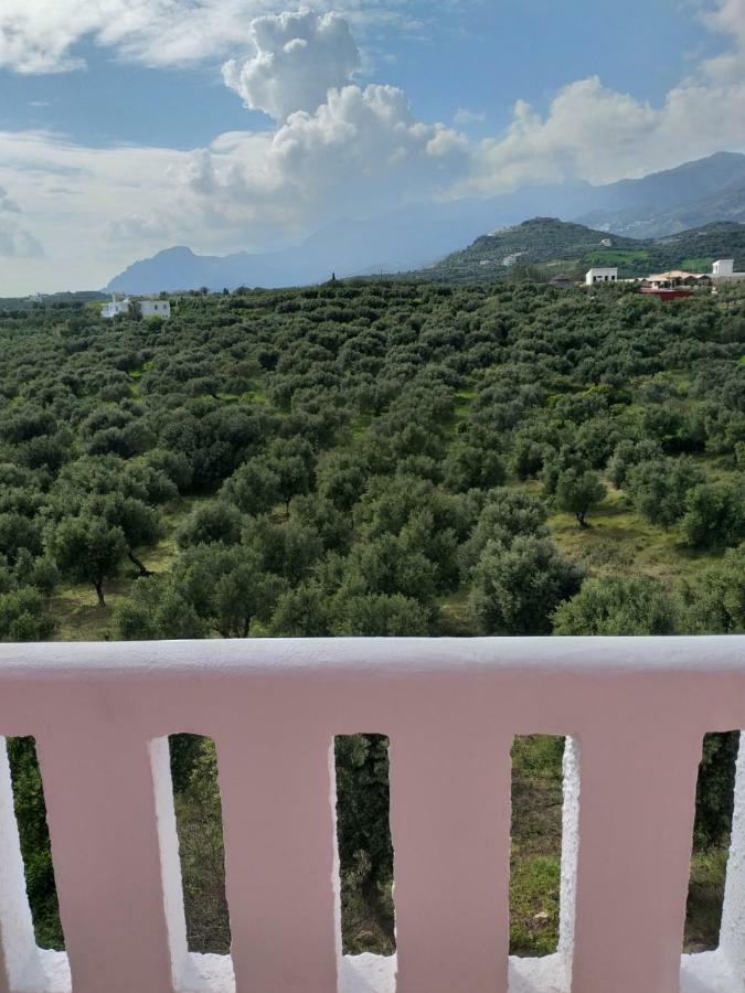 Greek Blue Apartment プラキアス エクステリア 写真
